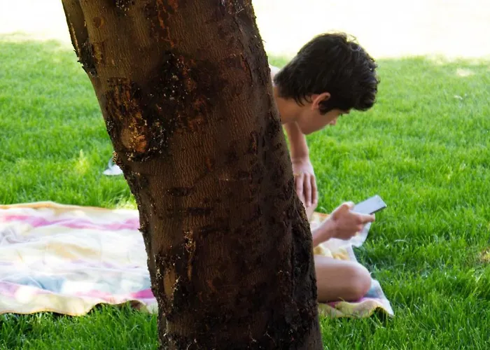 Casa D'edite Constancia